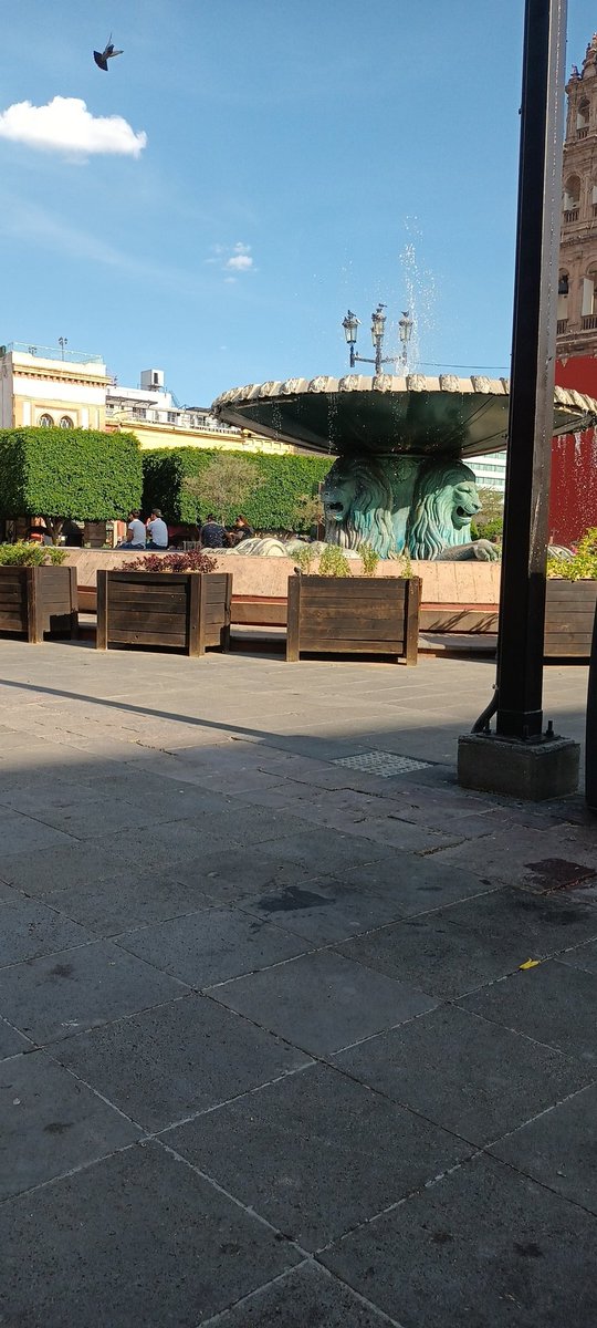 disklic1983's tweet image. Alguien por estos rumbos para conocernos e invitarle una nieve o una cervecita para la calor