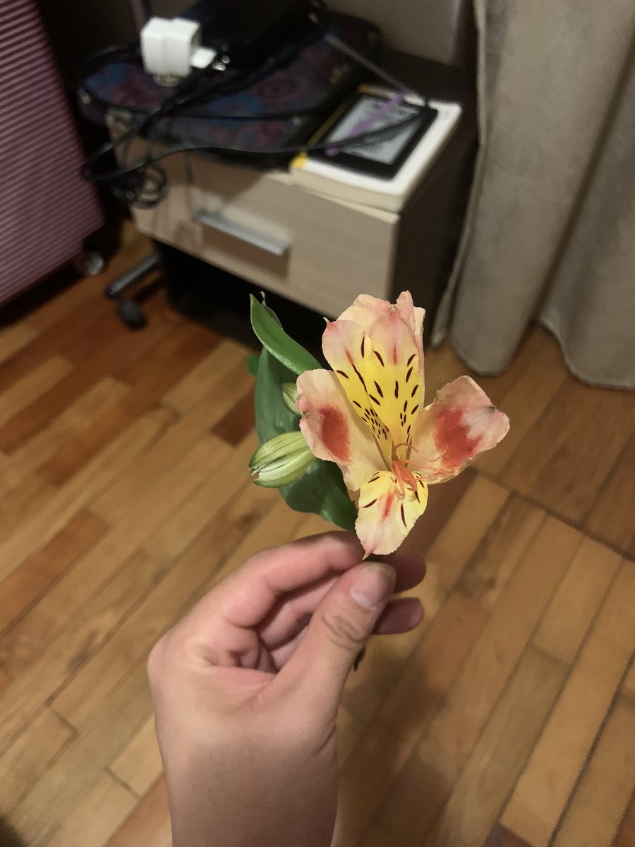 francinobea's tweet photo. Ainda quero contar nossa história, mas quem sabe e seguiu meu Instagram sabe que isso aqui foi BIZARRO. 

Simplesmente a gente se deu flor no nosso 3 encontro (sem combinar nem nada) nunca senti essa sensação bizarra em toda minha vida. 

E eh isso! 3 meses com ela e só 8 flores https://t.co/3oo4ygc5bp