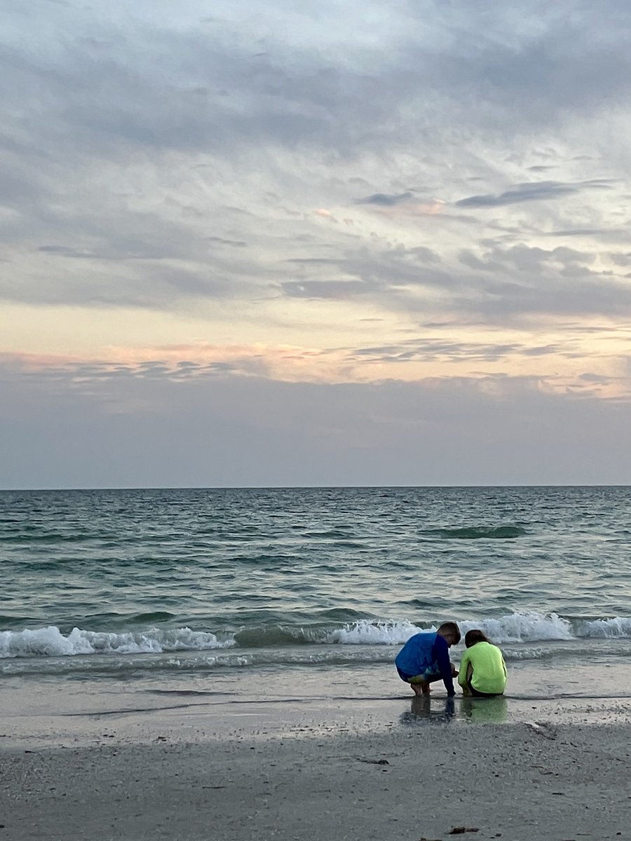 Amy Heckman 🇺🇦 tweet media