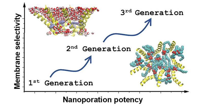 A research team led by <a href="/WilliamWimley/">William Wimley</a> of <a href="/TulaneMedicine/">Tulane Medicine</a> explored the determinants of macrolittin #nanopore stability in POPC bilayers using atomistic molecular dynamics simulations and experiments on macrolittins and single-site variants.

#openaccess: go.acs.org/9Nh