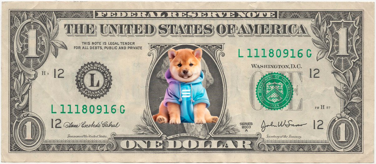 DOGINU tweet media