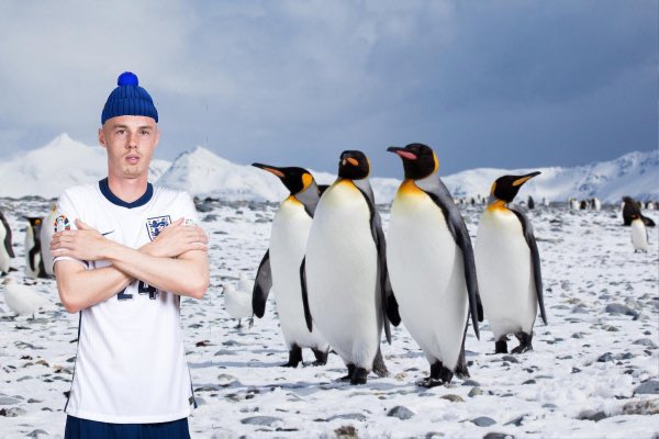 (fan) Trey tweet media