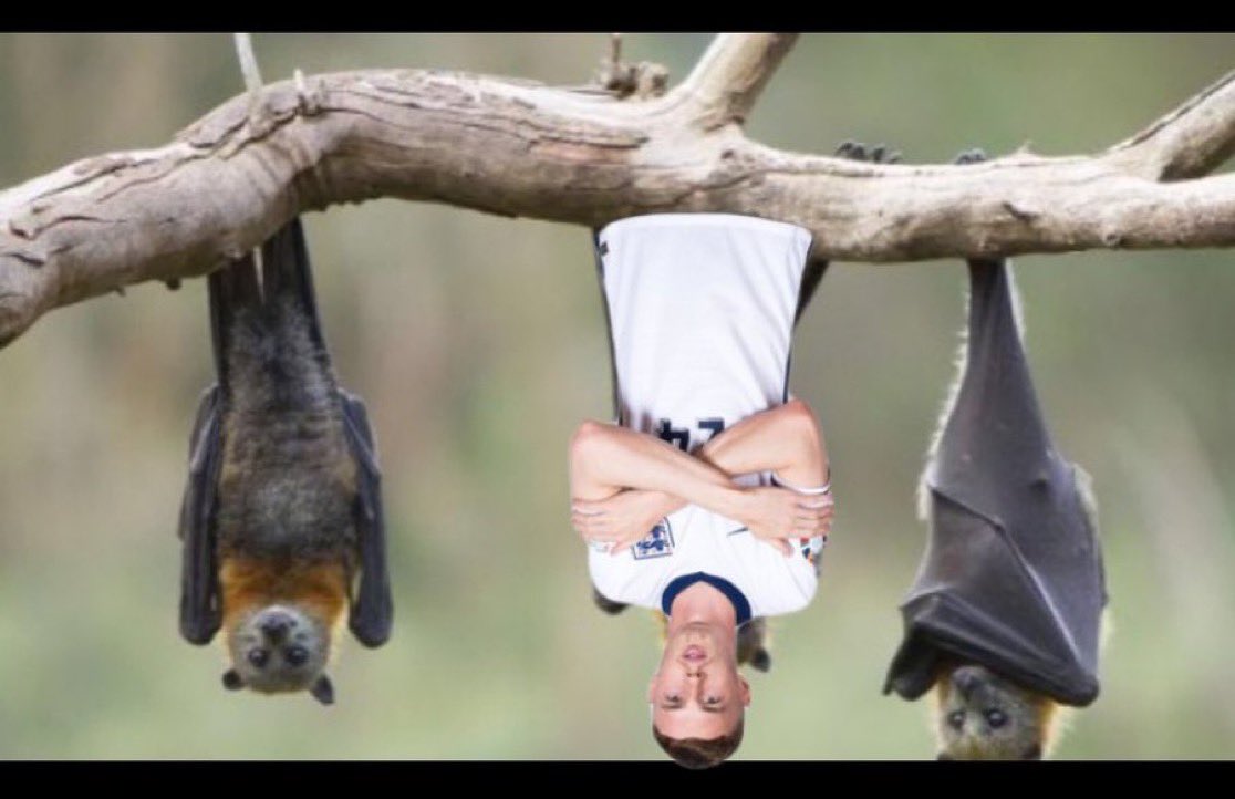 (fan) Trey tweet media