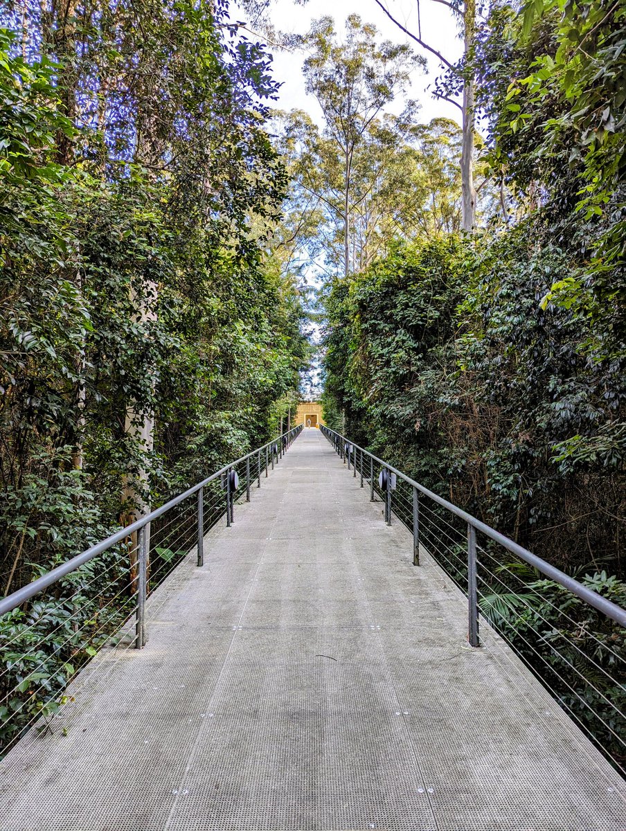 Dr. Vincent Raoult tweet media