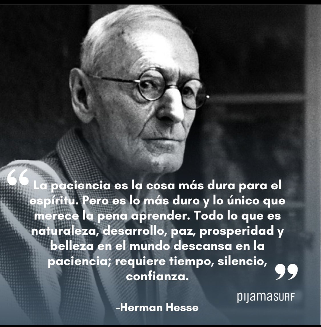 Monzón Kanarii tweet media