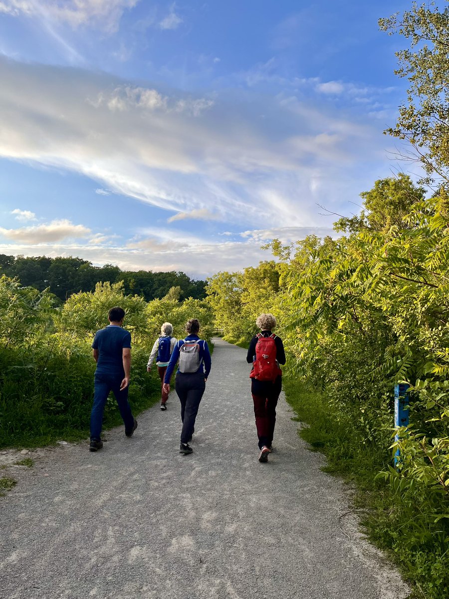 drCADuff's tweet image. Hiking the Toronto ravines with a super chatty group! 10 kms of trails on a lovely evening!