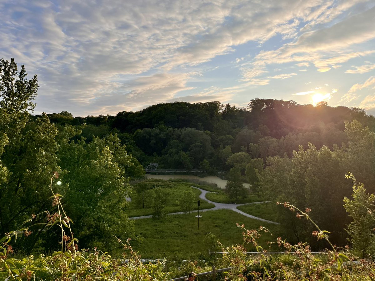 drCADuff's tweet image. Hiking the Toronto ravines with a super chatty group! 10 kms of trails on a lovely evening!