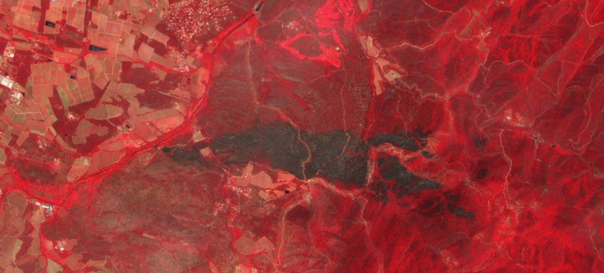 Lilian Vallet 🔥🌳 tweet media