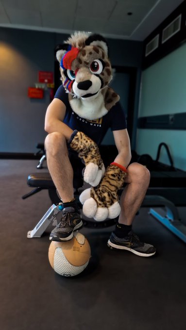 Ziggy is warming up, dont you want him to be your personal trainer? 😁 This fluffy cheetah is good with<a href="/tag/furry"class="tags"><span>#furry</span></a><a href="/tag/fursuit"class="tags"><span>#fursuit</span></a>