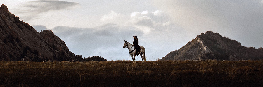 LightRocket Enterprise tweet media