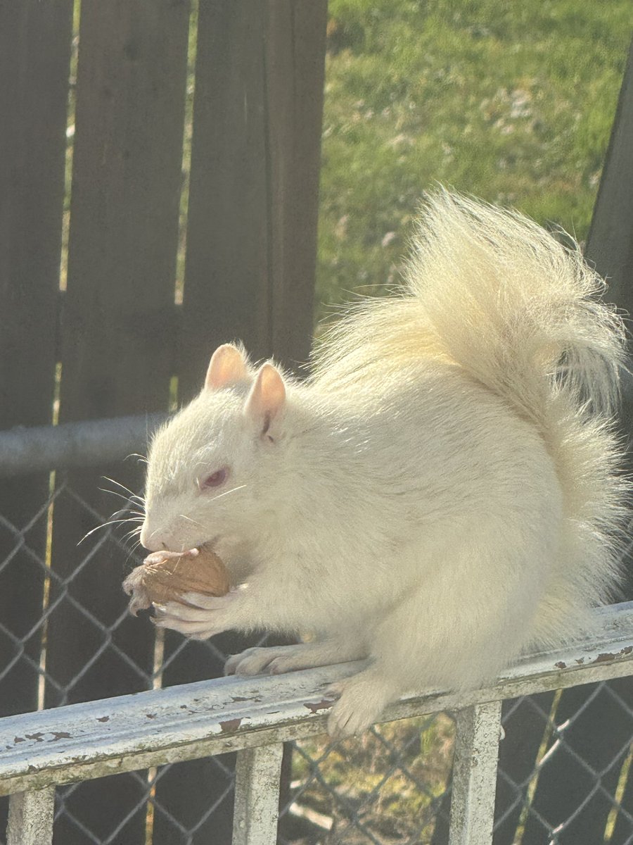 Eric Martin tweet media