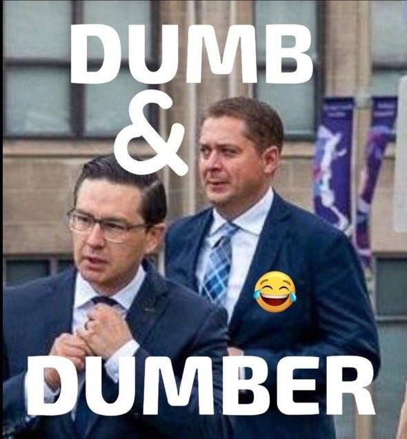 brent_whiteside's tweet photo. pee pee and his clapping seal https://t.co/8FthLzSavJ