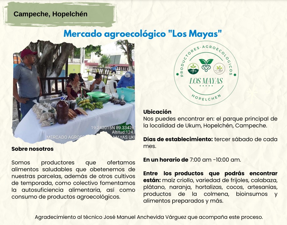 EATCampeche's tweet photo. Los bonitos mercados agroecológicos de Campeche .
¿Cuál has visitado? ¿Y qué has comprado en ellos?
#ProducciónParaElBienestar #Agroecología #Salud #Campo #Bienestar #EstrategiaDeAcompañamientoTécnicos #Mercados https://t.co/1mP0Jvpnoc