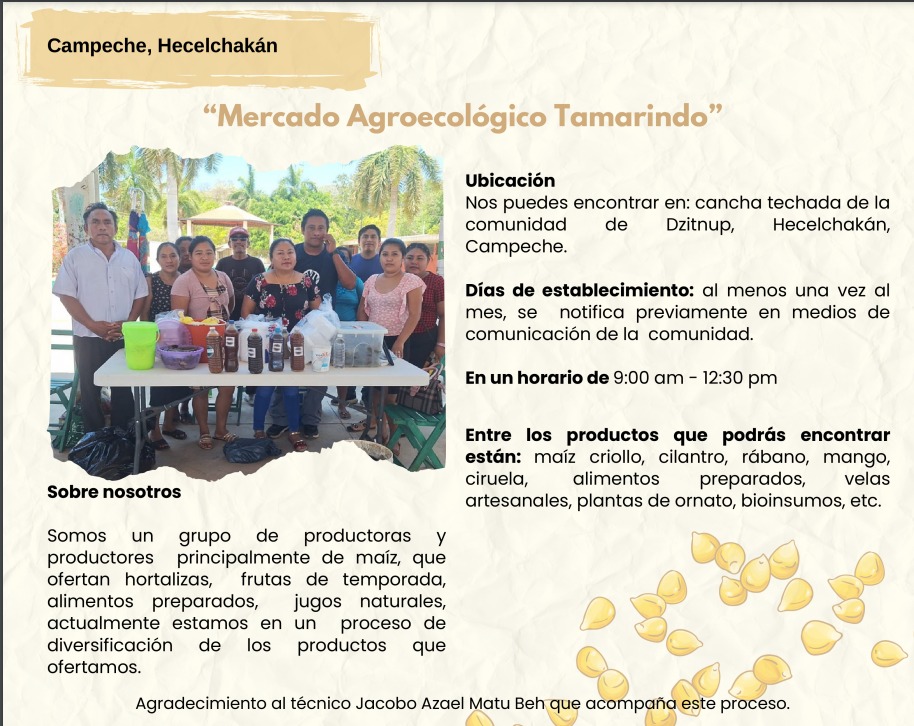 EATCampeche's tweet photo. Los bonitos mercados agroecológicos de Campeche .
¿Cuál has visitado? ¿Y qué has comprado en ellos?
#ProducciónParaElBienestar #Agroecología #Salud #Campo #Bienestar #EstrategiaDeAcompañamientoTécnicos #Mercados https://t.co/1mP0Jvpnoc