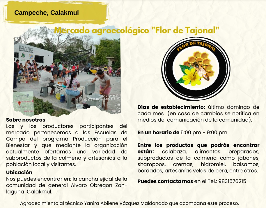 EATCampeche's tweet photo. Los bonitos mercados agroecológicos de Campeche .
¿Cuál has visitado? ¿Y qué has comprado en ellos?
#ProducciónParaElBienestar #Agroecología #Salud #Campo #Bienestar #EstrategiaDeAcompañamientoTécnicos #Mercados https://t.co/1mP0Jvpnoc
