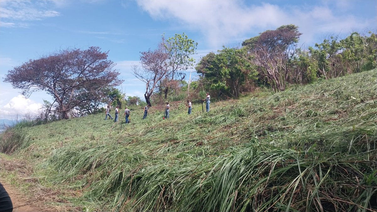 policiadepanama's tweet photo. #Veracruz | Unidades de la #DINAPART en compañía de la Asociación Amigos de Cerro Cabra y el Instituto Superior Policial, realizamos una jornada de limpieza en el Cerro Cabra Majagual con la finalidad de realizar una reforestación el día 22 de junio. https://t.co/tdEuAlAG5B