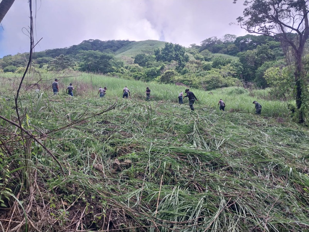policiadepanama's tweet photo. #Veracruz | Unidades de la #DINAPART en compañía de la Asociación Amigos de Cerro Cabra y el Instituto Superior Policial, realizamos una jornada de limpieza en el Cerro Cabra Majagual con la finalidad de realizar una reforestación el día 22 de junio. https://t.co/tdEuAlAG5B