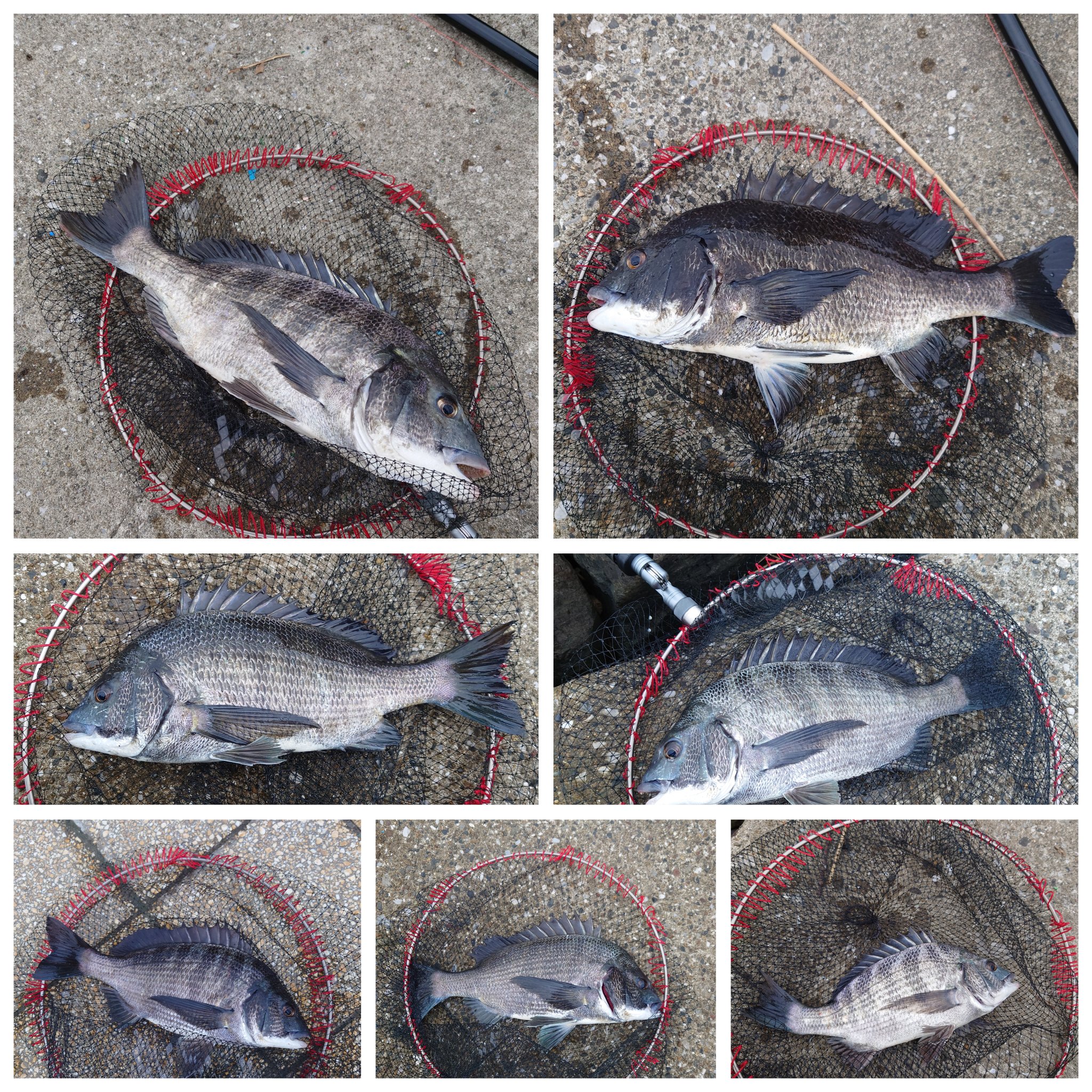 Fielder's Craftページです To Frame Sliders or Not To Frame Sliders, That Is The