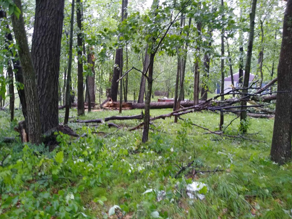 More info <a href="/NWSduluth/">NWS Duluth</a> multiple trees down in the same area of  Crosslake #mnwx County Road 3 and Riverwood Lane. Trees are perpendicular to the path of the storm, laying in a northeast southwest orientation, likely RFD related.