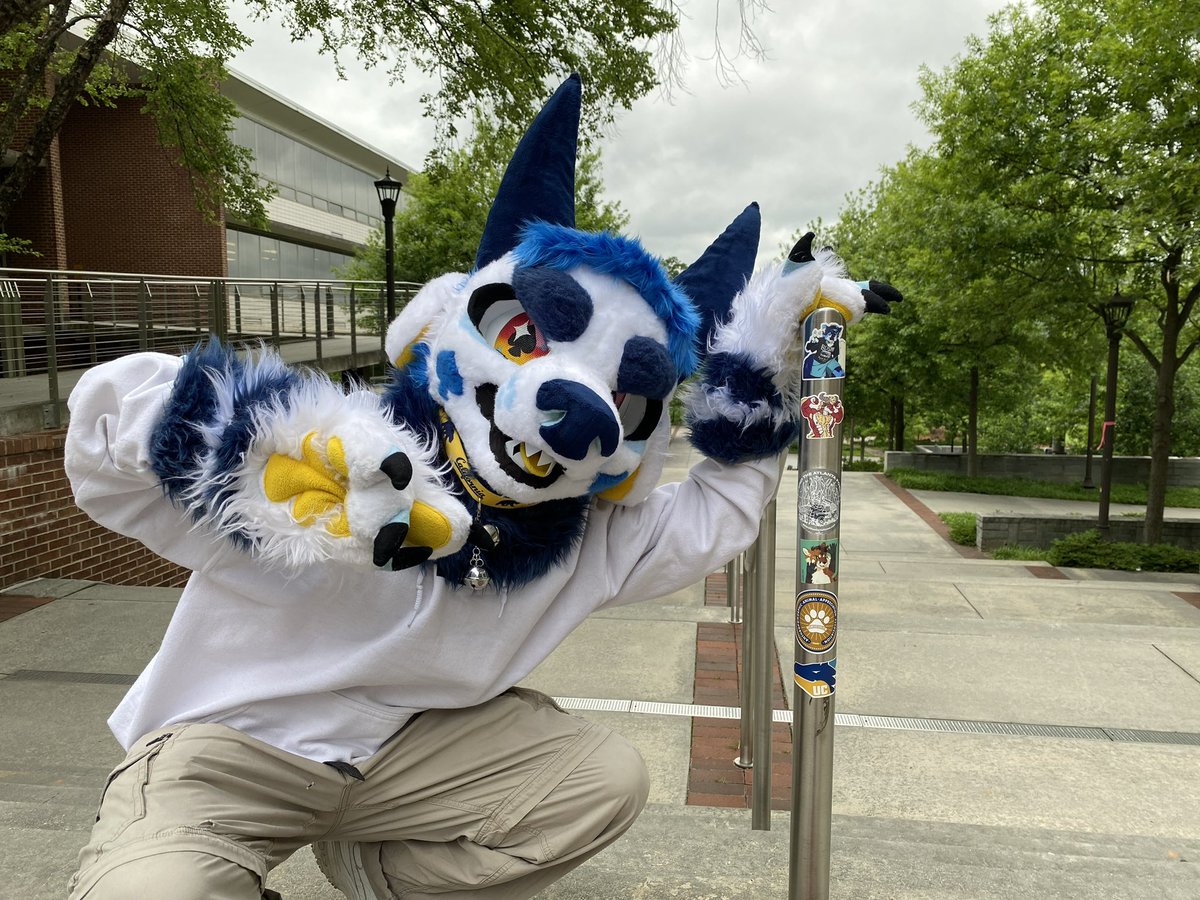 Furries at Berkeley tweet media