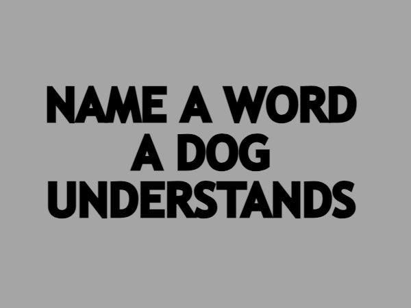 The Curious Pollster tweet media