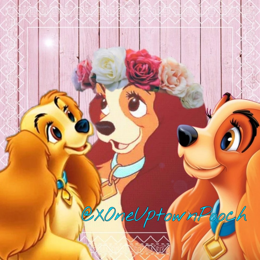 A photo I made of my myself for my page. 

Do not steal!