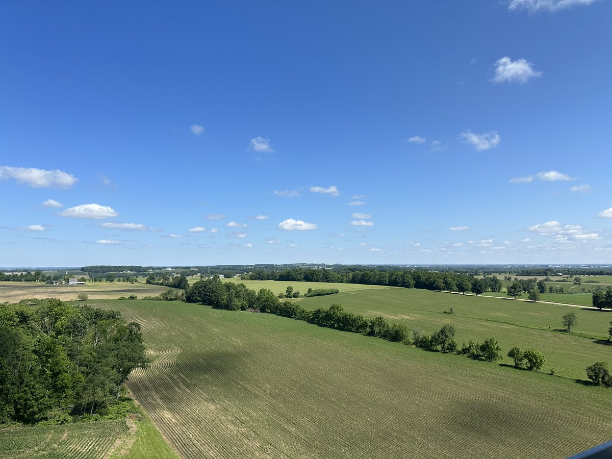 Was up the elevator yesterday, so I thought I’d get a some pics