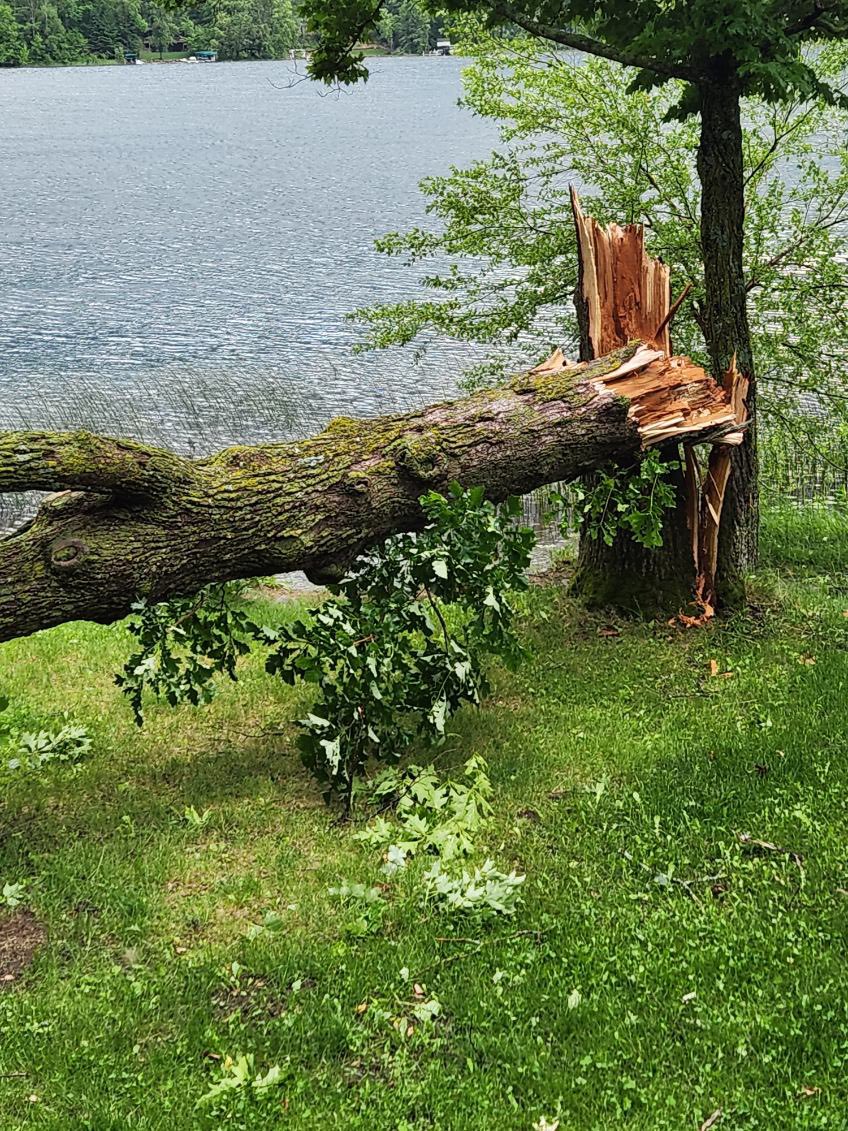 TNelsonWX's tweet photo. . @NWSTwinCities Storm damage on Rabbit Lake north of Crosby MN https://t.co/JpTAW2fdwA