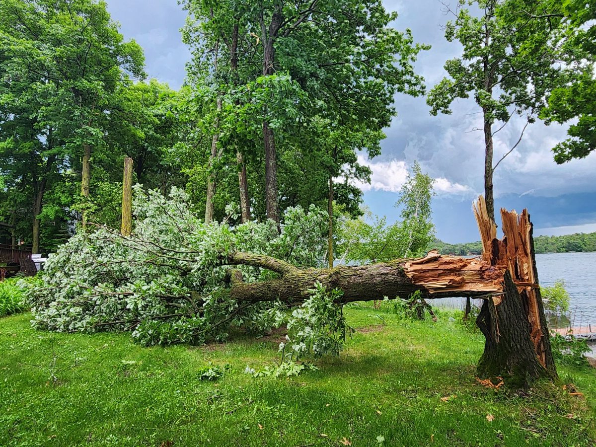 TNelsonWX's tweet photo. . @NWSTwinCities Storm damage on Rabbit Lake north of Crosby MN https://t.co/JpTAW2fdwA