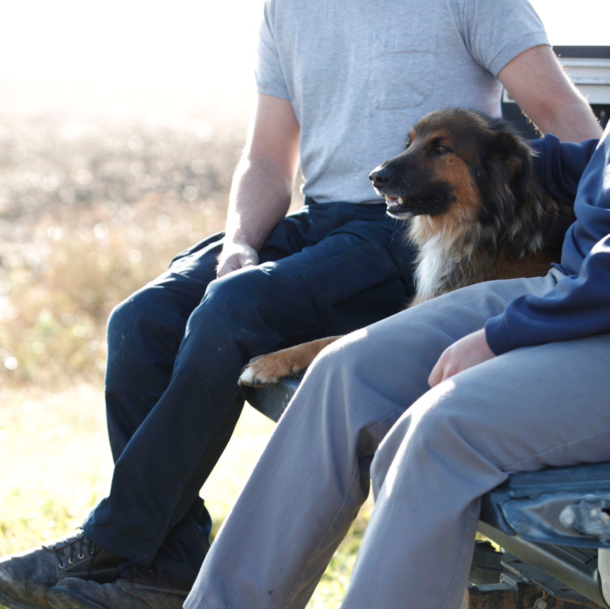 Taking care of your mental health isn't selfish, it's essential for a strong and productive farm. 

This #MensHealthMonth, remember you don't have to be okay all the time. Reach out for support. #MentalHealthMatters 

manitobafarmerwellness.ca