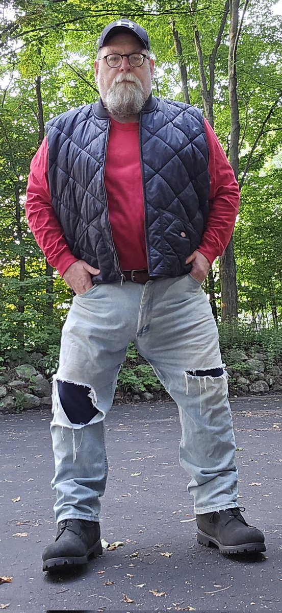 allamericanbear tweet media