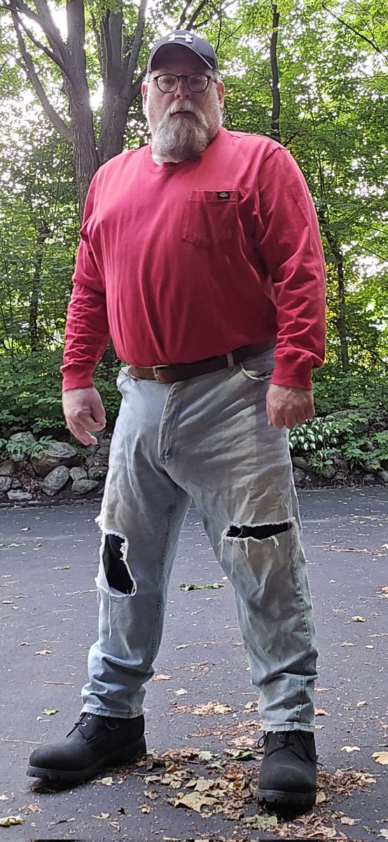 allamericanbear tweet media