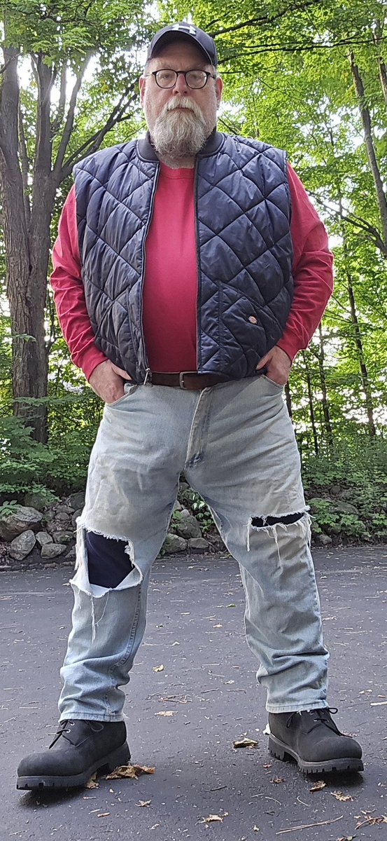 allamericanbear tweet media