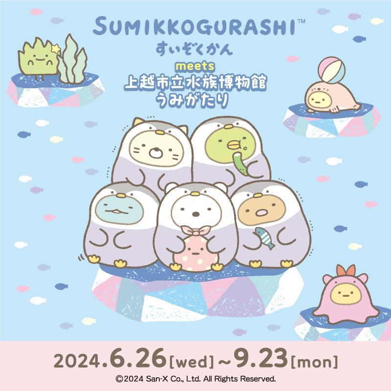 2024年6月26日(水)から『すみっコぐらしすいぞくかん meets 上越市立水族博物館 うみがたり』が開催されます✨
個性的な生きものたちが展示されるほか、館内にはすみっコたちと写真が撮れるフォトスポットやキャラクターパネルが集合します♪
詳しくはこちら▷https://t.co/GMAvMl8sAU
#すみっコ情報