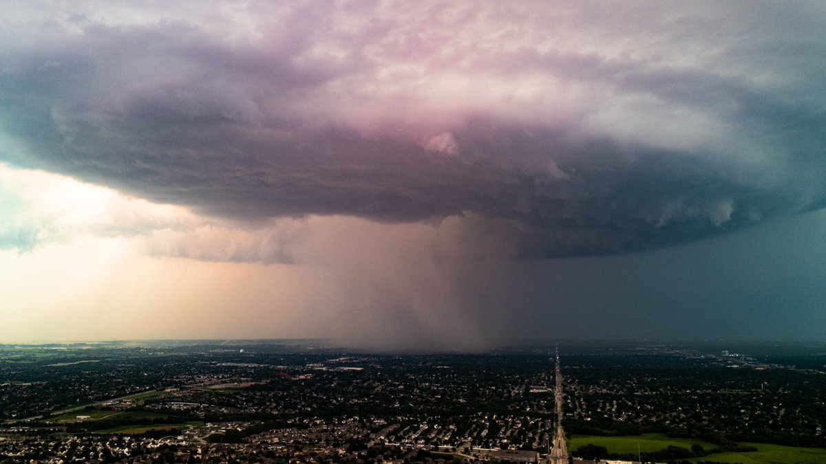 Harrison Weddell tweet media