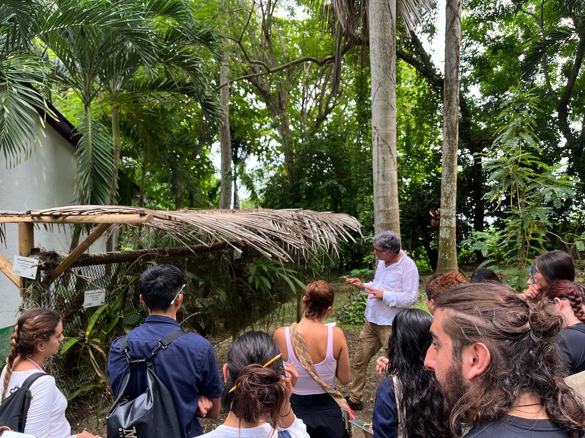 Curso de Botánica Sistemática Campo
🌿 Durante las próximas semanas, estudiantes de la Universidad de los Andes se adentrarán en el fascinante mundo de las plantas. Explorarán la arquitectura, morfología, ecología, sistemática, adaptaciones, y mucho más.

<a href="/CienciasUAndes/">CienciasUniandes</a>