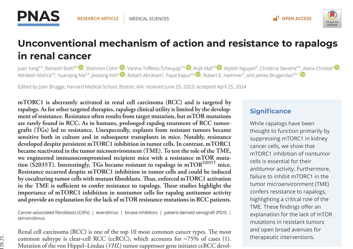 JBrugarolas's tweet photo. Ever wonder how #resistance to #rapalogs develops in #RCC and why despite introduction ~20 yrs ago, mTOR mutations not found? @kcputsw provides some answers https://t.co/GHA8UWRPkp https://t.co/23zLFzRheV