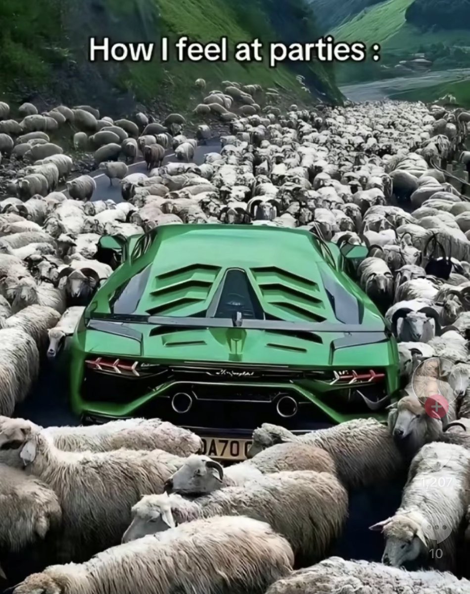 evawealth_'s tweet photo. 🗣️ why don’t you go to parties ? https://t.co/QC1AlD6zR9