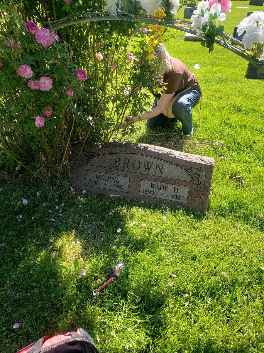 BlanchesPlace's tweet photo. I talk about  cemeteries alot. Just incase you might had me pictured running naked through the tombstones. We are working to save our remaining historic roses. https://t.co/r5iAReeolr https://t.co/ceiQU3chqk
