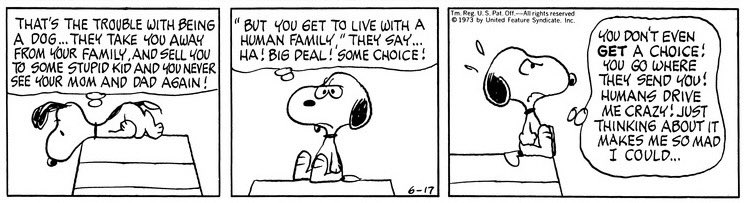 PeanutsNoCont's tweet image. 