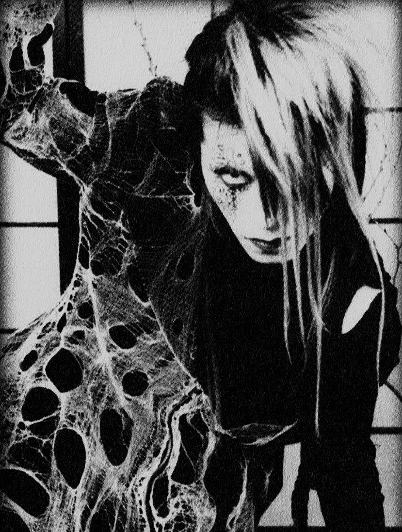 shikibetsu's tweet photo. alice auaa's spiderweb design will always be part of some favourite vkei looks https://t.co/d1K7QZ8vTR