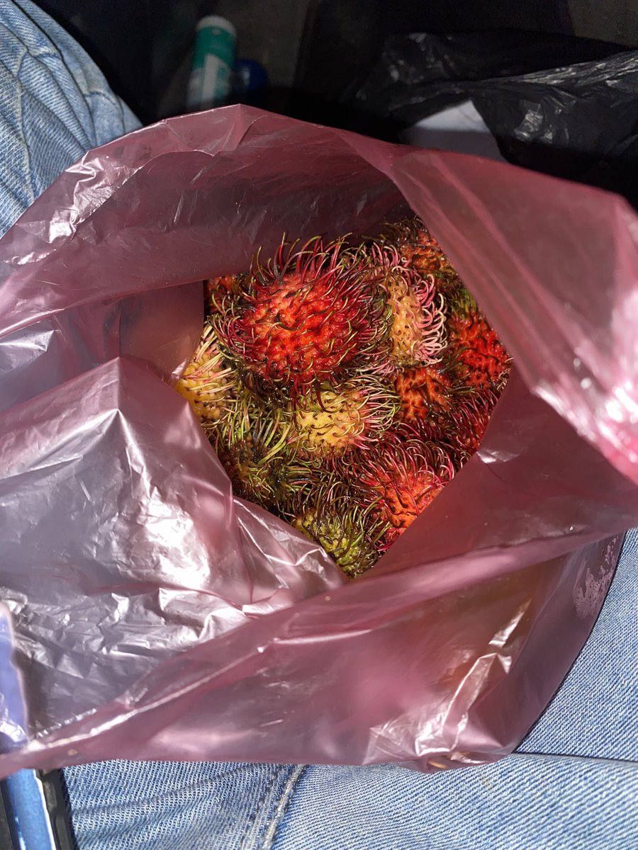 bendita fruta bendita.