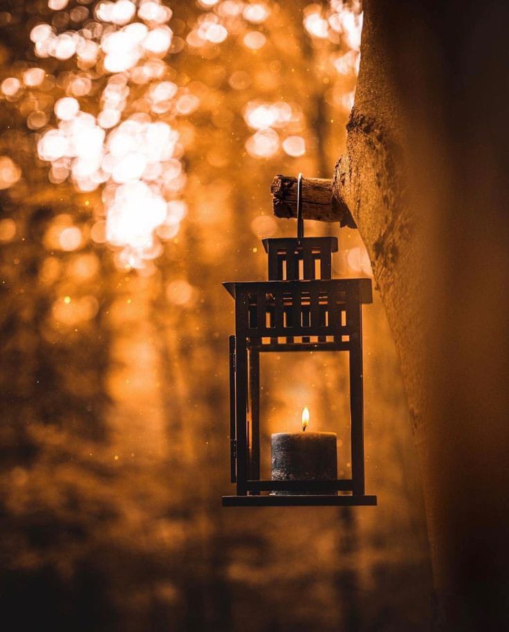 RealHazel0's tweet image. آج کیپشن لکھنے کی باری میری نہیں ہے۔ ✍️✨ آج آپ لوگ لکھیں گے! جو بھی سب سے بہترین ہوگا، میں اسے شیئر کروں گی۔ 🌟📲

اگر آپ کو کچھ نیا لکھنے کا موڈ نہیں ہے تو کوئی بات نہیں، جو پہلے سے کاپی کیا ہوا ہے، وہ پیسٹ کر دیں۔ 📋👌

#CaptionContest
#CreativeWriting
#BestCaption