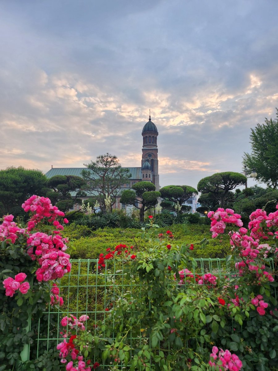 축복합니다♡
덕분입니다♡

전주 전동성당~*