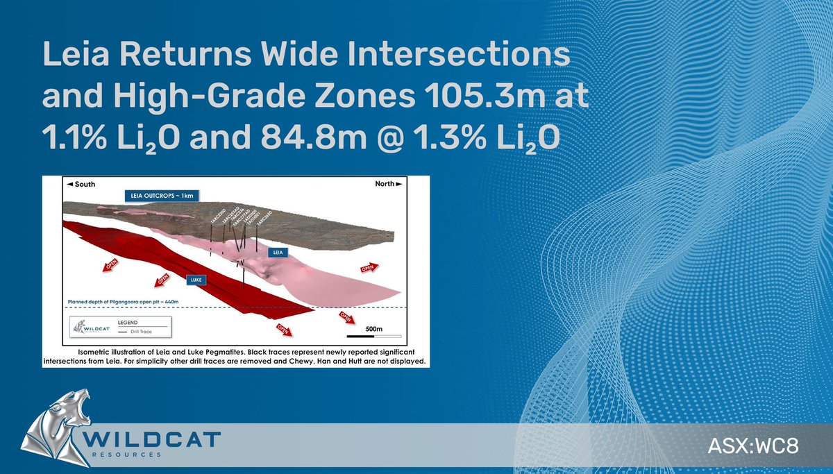 We've received further high-grade #lithium results incl. 105.3M at 1.1% Li₂O from the Leia Pegmatite, reinforcing the growth potential of our Tabba Tabba Project, WA.
Aggressive drilling and exploration continues at Luke, Chewy, and Hutt #pegmatites.
bit.ly/3xjlrpt #WC8