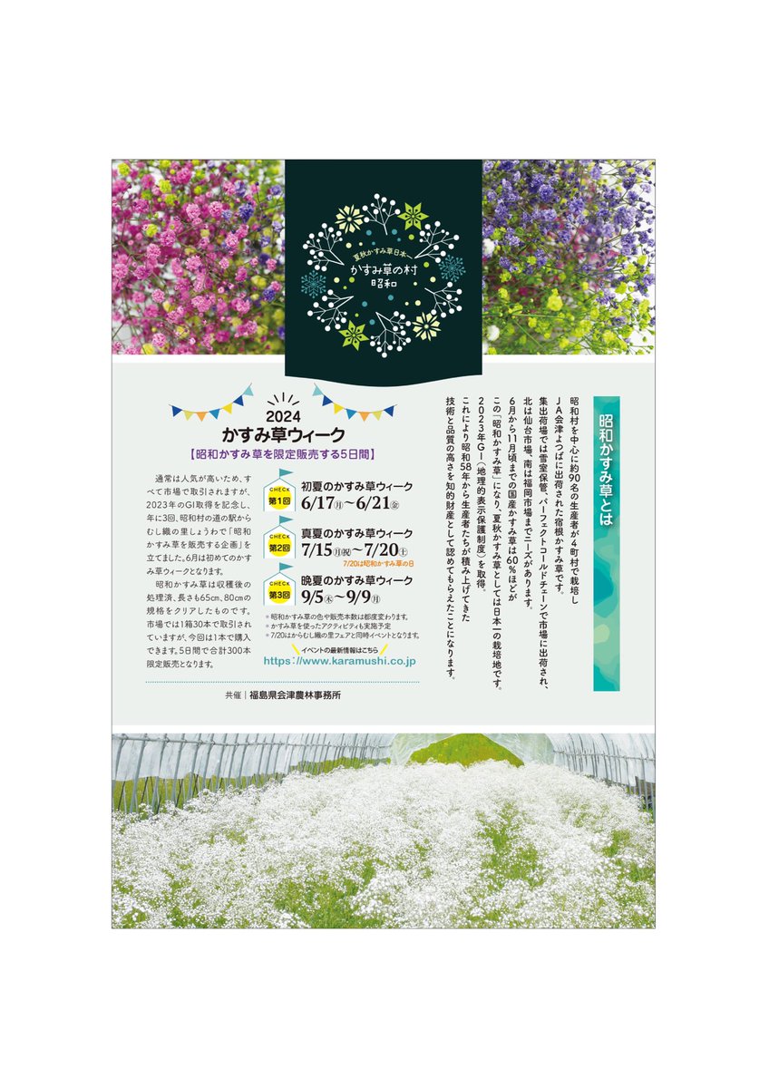 かすみ草ウィークが始まりますぞ〜✨
可憐に咲く昭和かすみ草に癒されるですぞ👀🤍
お出かけする際は水分補給を忘れずに！ですぞー🧢🧊❗️

#JA会津よつば　#会津よつば　#会津若松市　#昭和村　#かすみ草　#フラワーアレンジ