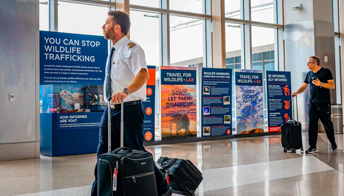 Wildlife Trafficking Alliance tweet media