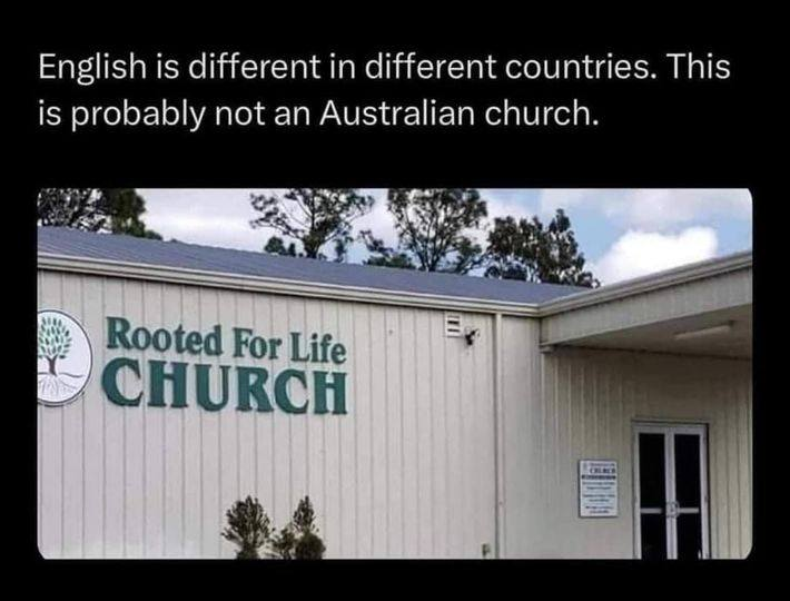 Gillian Fennell tweet media