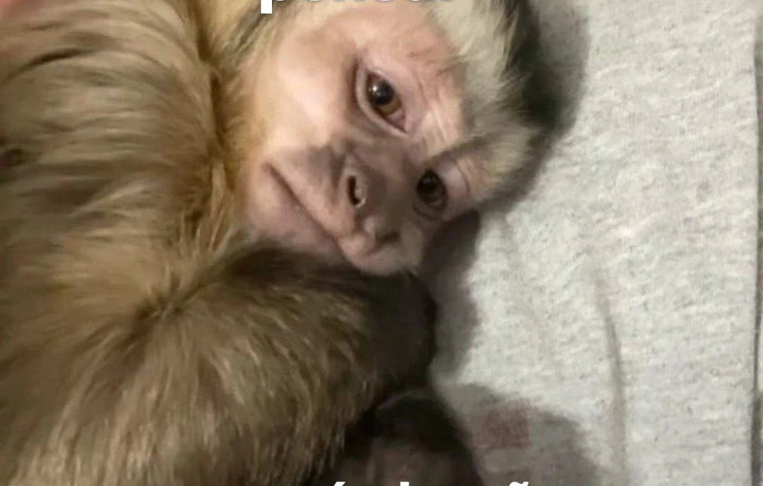 Mappsssss's tweet image. me puse a pensar acerca de las posibilidades que tengo de tener un hombre  a mi lado que me ame, me valore y me respete y quede asi