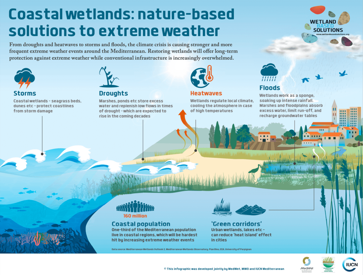 UNBiodiversity's tweet photo. 🌊 Nature-based solutions like coastal wetlands are key to mitigating bad weather impacts. 

Let's prioritize their conservation and restoration
info via 
@MedWetOrg  MWO @IUCN https://t.co/XzaxaXIeXm